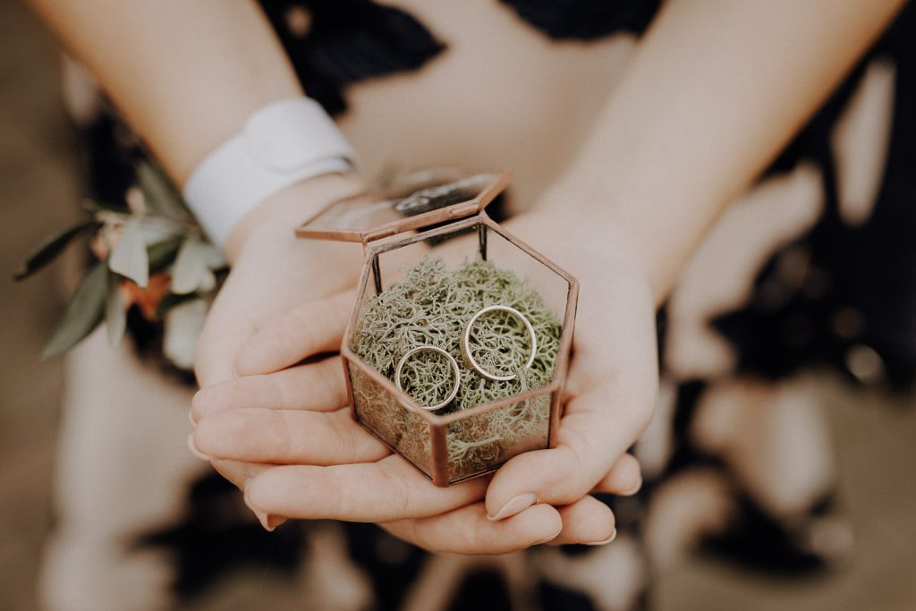 Hochzeitsreportage Freie Trauung Prinz Albrecht