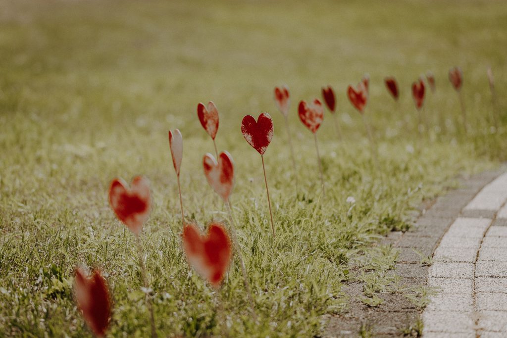 Hochzeitsfotograf im Bildungszentrum Erkner