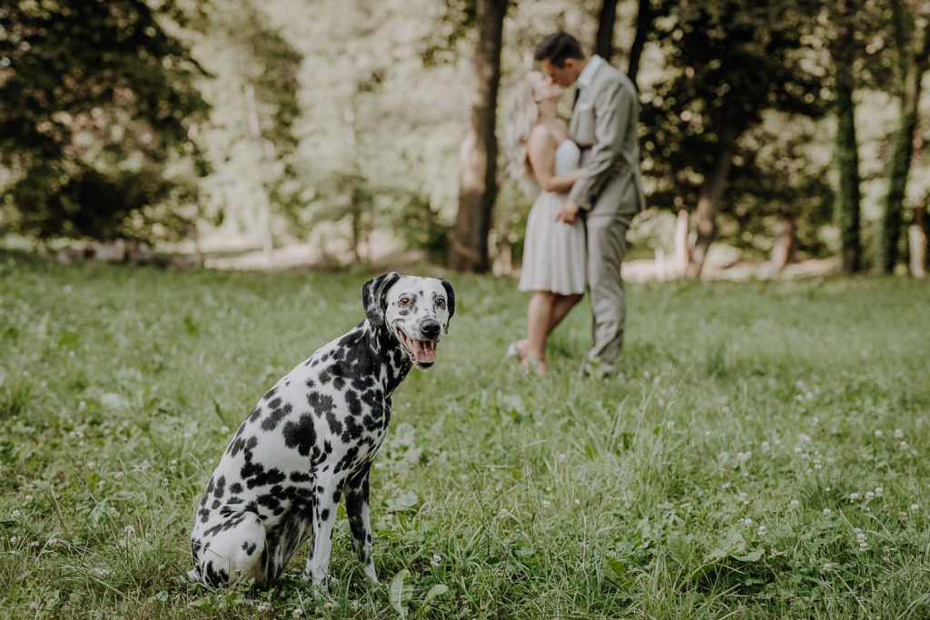 Hochzeitsfotos Lebus