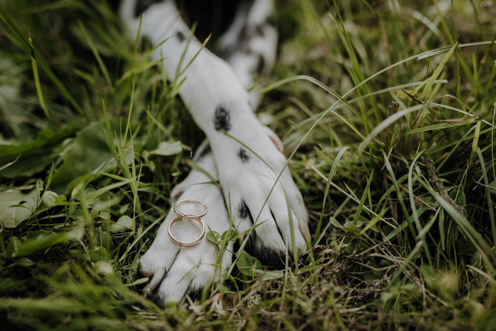 Hochzeitsfotos Lebus